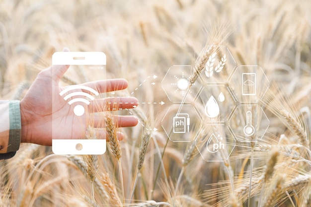 Concept d'agriculture intelligente Agriculteur avec tablette numérique de technologie sur fond de champ de blé Les agriculteurs professionnels utilisent l'internet des objets système d'ordinateurs IOT pour gérer les fermes agriculture idée moderne