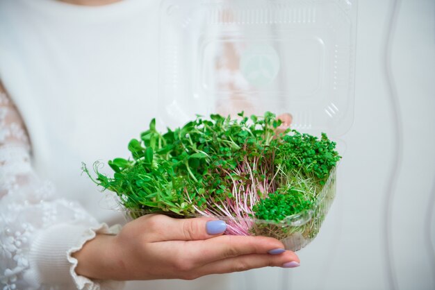 Concept d'alimentation végétalienne et saine. Mélange de micropousses pour salade.