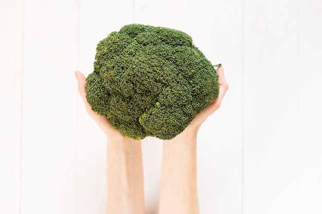 Concept d'aliments crus. Woman's hands holding bouquet de brocoli sur fond gris clair. Fermer. Espace copie