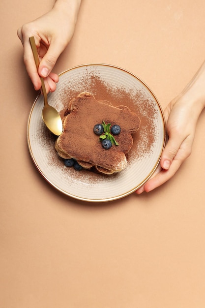 Photo concept d'aliments sucrés vue de dessus de gâteau tiramisu