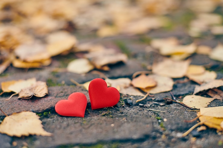 Photo concept d'amour ou d'amitié