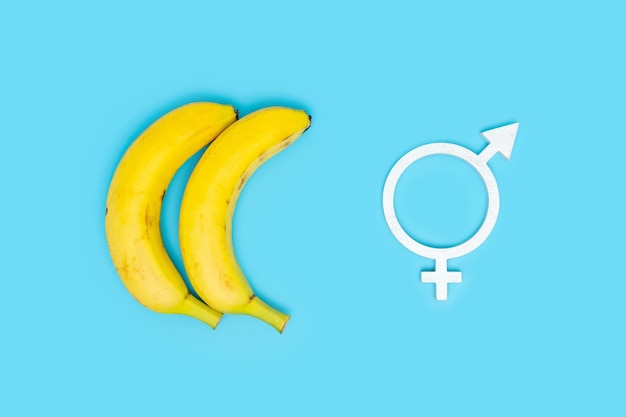 Le concept de l'amour libre du même sexe et de l'égalité des sexes Deux bananes et un symbole d'égalité des sexes sur fond bleu