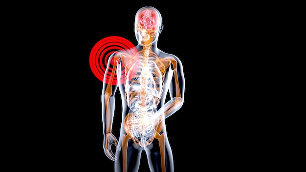 Concept d'anatomie 4K d'une douleur à l'épaule