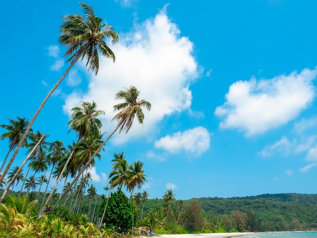 Concept d'arrière-plans de paysage marin Fond d'été avec cocotier tropical île de montagne verte mer d'eau et plage de sable sur ciel bleu par une journée ensoleillée scène d'été scène de vacances vacances