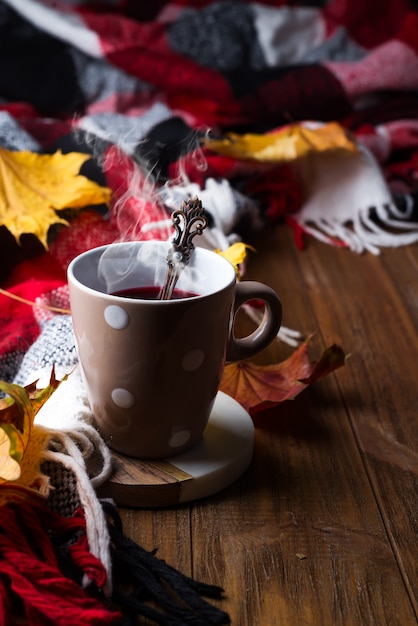 Concept d&#39;automne automne avec couverture tricotée et thé chaud aux baies, feuille d&#39;automne