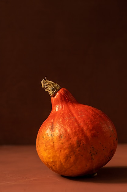 Concept d'automne avec une citrouille sur fond sombre avec des feuilles d'automne célébrant halloween et