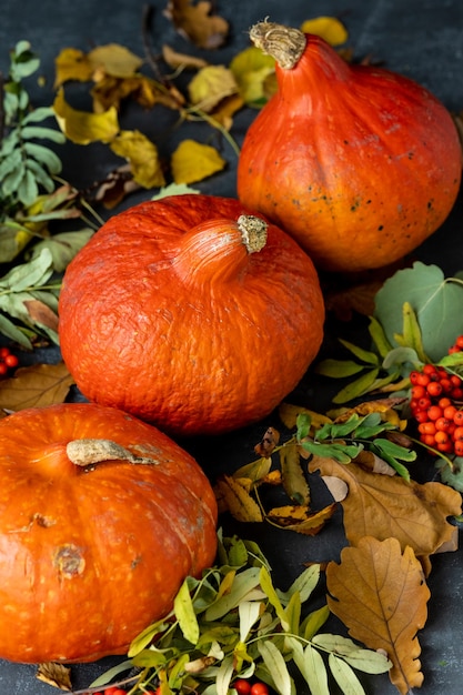 Concept d'automne avec une citrouille sur fond sombre avec des feuilles d'automne célébrant halloween et