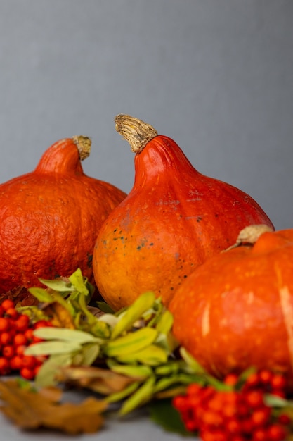 Concept d'automne avec une citrouille sur fond sombre avec des feuilles d'automne célébrant halloween et