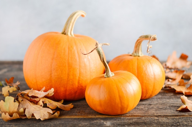 Concept d'automne avec des citrouilles sur une table en bois rustique