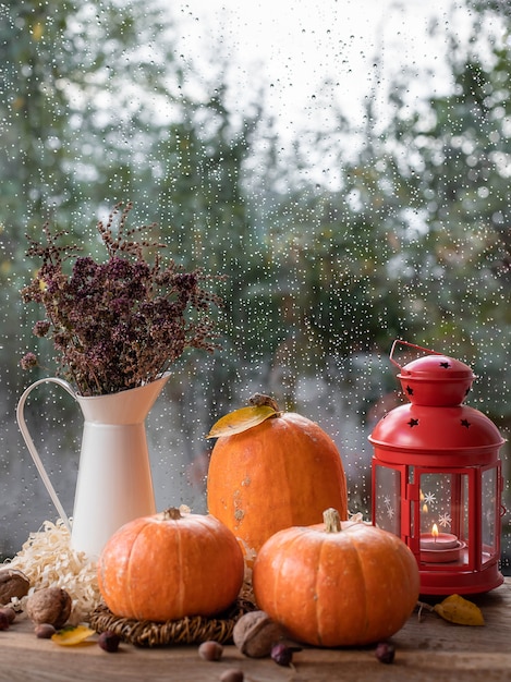 Concept d'automne avec des citrouilles, un vase à fleurs séchées et une lanterne mystique