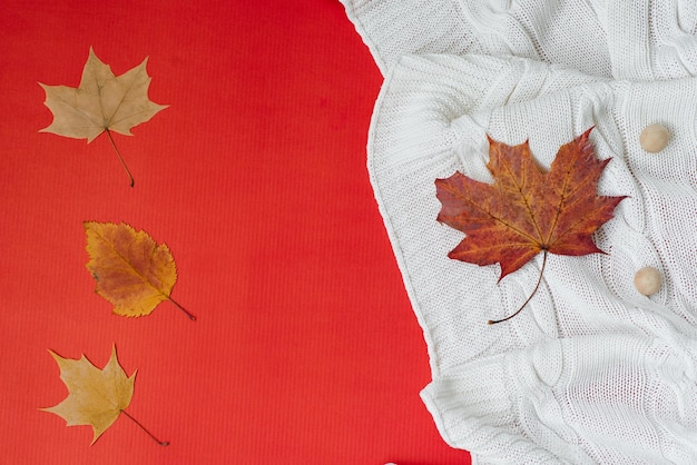 Concept d'automne Les feuilles d'automne tombées se trouvent sur une couverture tricotée blanche