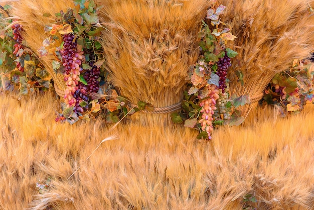 Concept d'automne avec des fruits et légumes de saison. Fond d'automne de légumes de saison sur le foin.