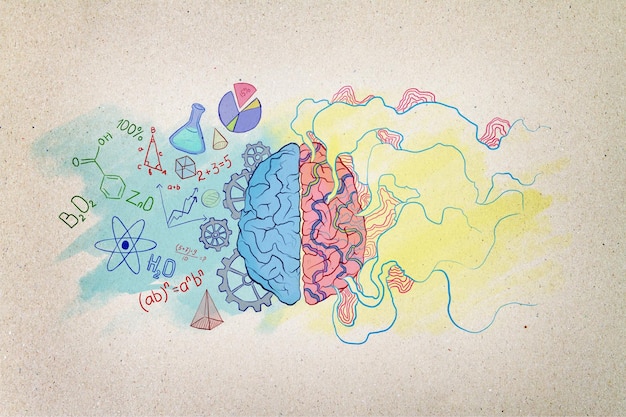 Concept de brainstorming avec deux hémisphères cérébraux colorés croquis écrit à la main avec des formules et des signes scientifiques et éducatifs et illustration abstraite sur papier kraft