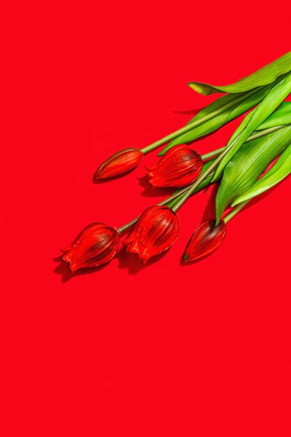 Concept de cadeau Saint Valentin fond rouge romantique avec bouquet de tulipes lumineuses lumière dure ombre sombre style minimaliste plat jeter vue de dessus