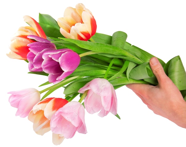 Concept de carte postale fleurs tulipes