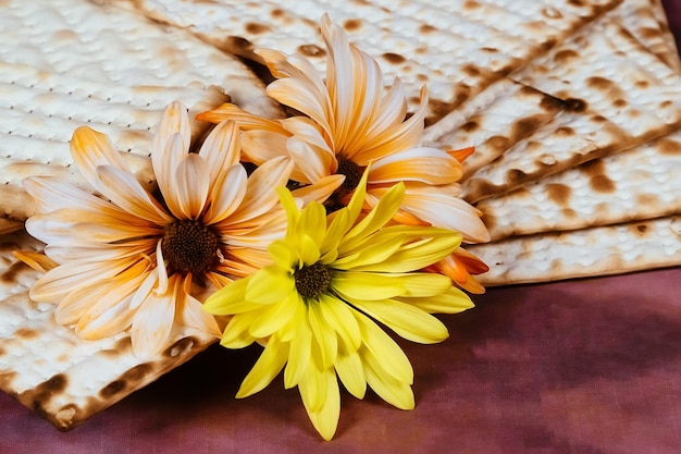 Concept de célébration de Pessah fête de Pâque juive Matsa de Pâque