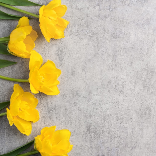 Concept de conception de voeux de vacances fête des mères avec bouquet de fleurs de tulipe jaune sur fond gris