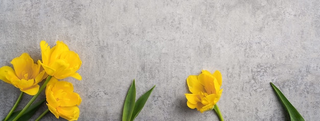 Concept de conception de voeux de vacances fête des mères avec bouquet de fleurs de tulipe jaune sur fond gris