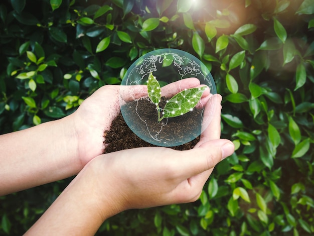 Concept de conservation durable de l'environnement. La femme tient le sol et la feuille verte à la main.