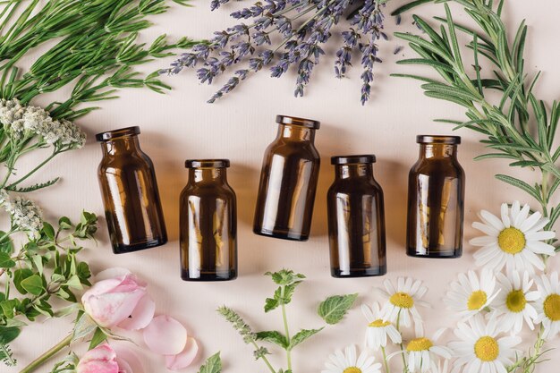 Concept de cosmétiques naturels et d'herbes médicinales, vue de dessus