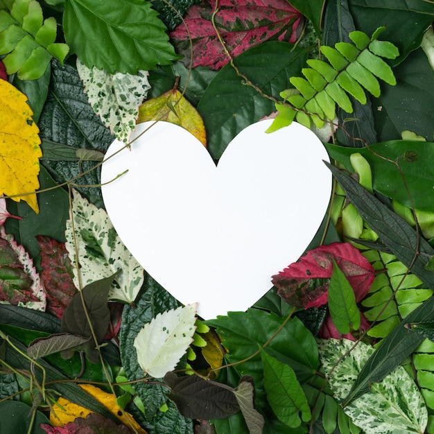 Photo concept créatif feuilles multicolores avec note de carte papier en forme de coeur.