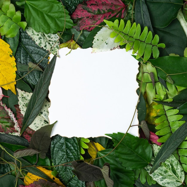 Concept créatif feuilles multicolores avec note de carte papier.