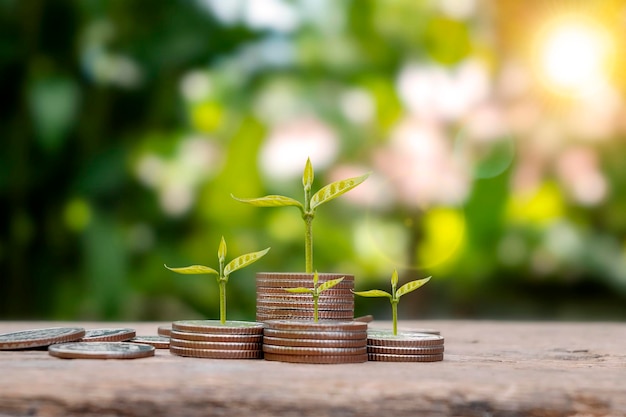 Concept de croissance de l'argent avec des pièces et des arbres sur le tas de pièces avec un fond vert flou