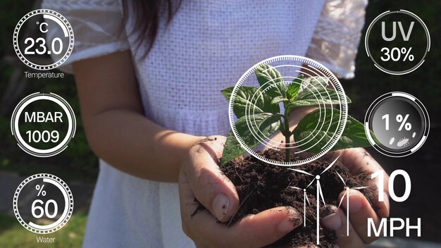 Concept de croissance de plantation assistée par ordinateur.