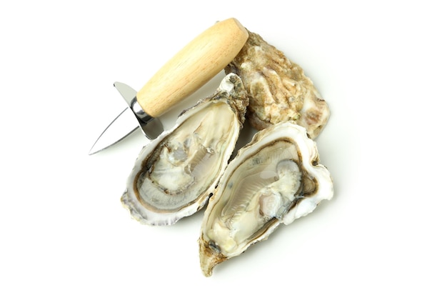 Concept de délicieux huîtres de fruits de mer isolé sur fond blanc