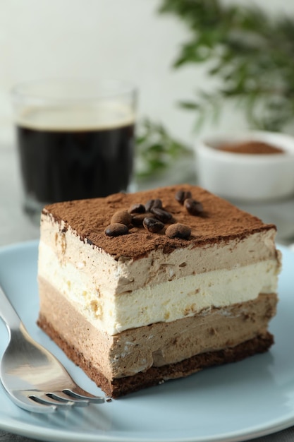 Concept De Dessert Savoureux Avec Gâteau Tiramisu En Gros Plan