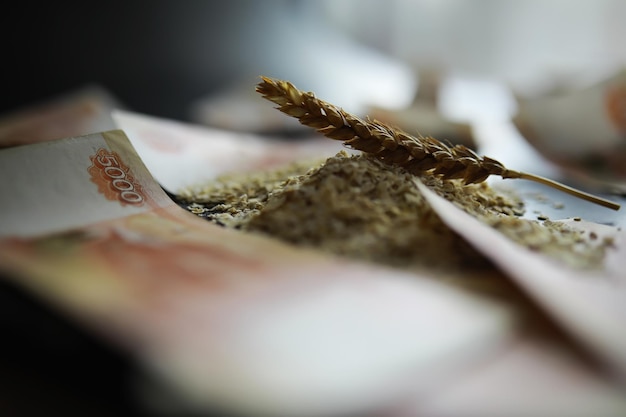 Le concept du coût du grain Billets de 5000 roubles autour d'une poignée de grains moulus La faim dans le monde