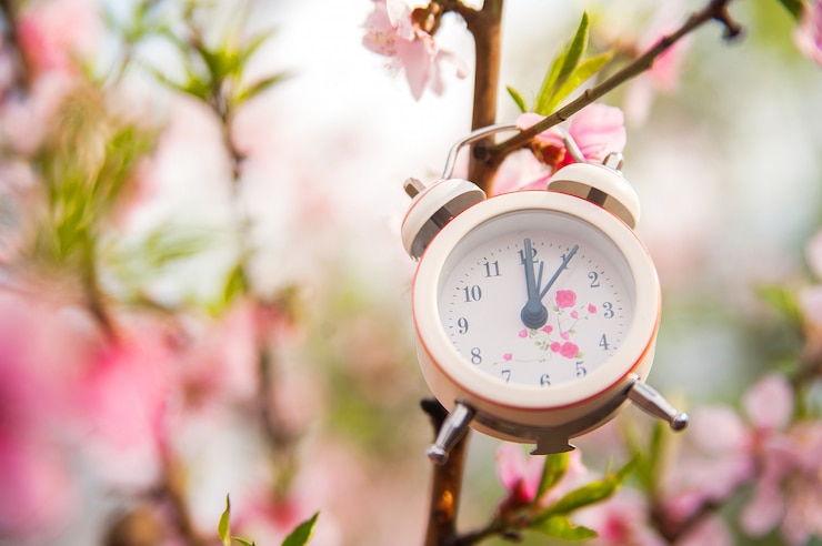 Photo le concept du début du printemps.
