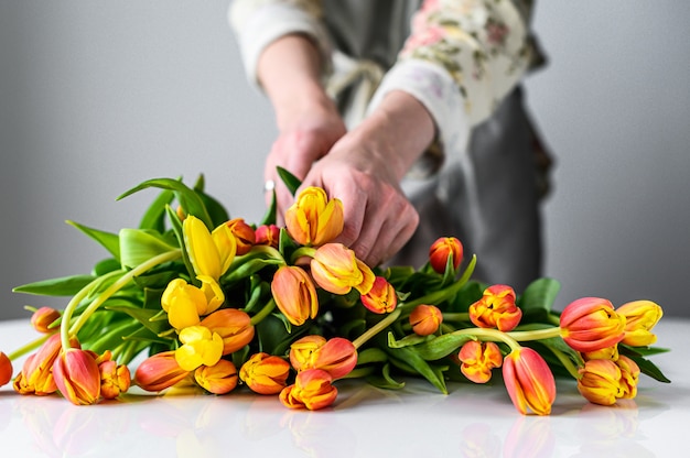 Le concept du travail du fleuriste. Une fille fait un bouquet de tulipes jaunes, orange et rouges. fond blanc