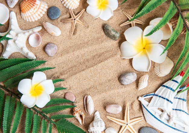 Concept du voyage d'été avec étoile de mer et coquillages sur fond de sable