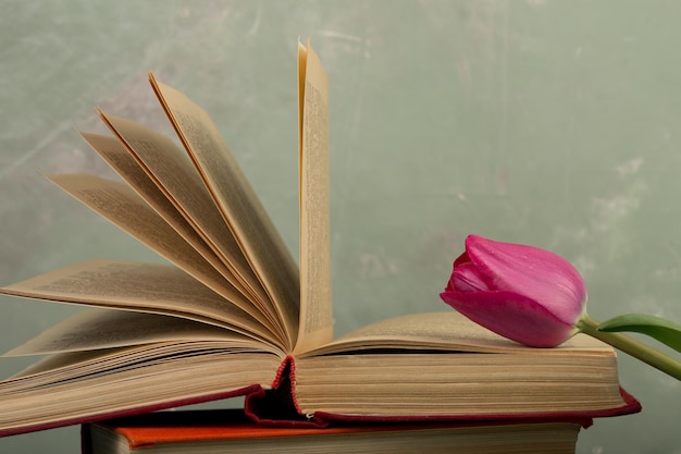 Concept d'éducation et de passe-temps Fleurs tulipes et livres