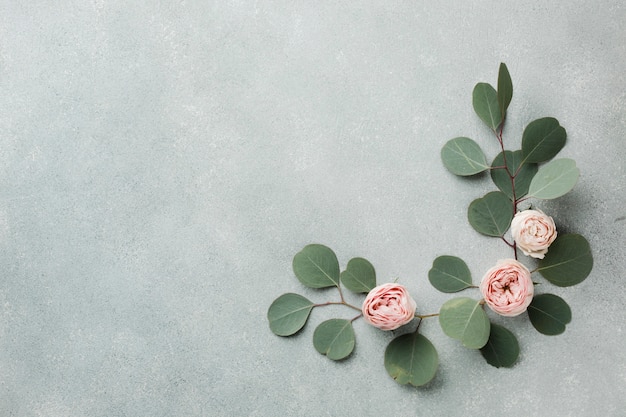 Photo concept élégant avec des feuilles et des roses copie espace