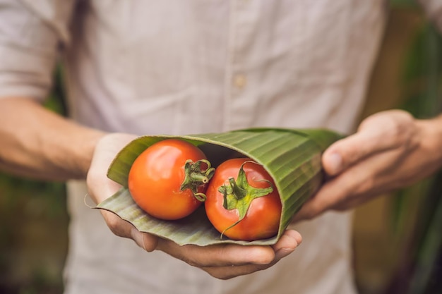 Concept d'emballage de produit respectueux de l'environnement tomates enveloppées dans une feuille de bananier comme alternative à un