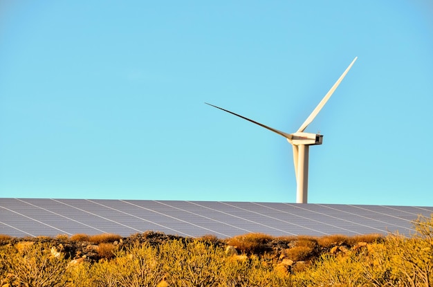 Concept d'énergie renouvelable Windmil Farm au coucher du soleil