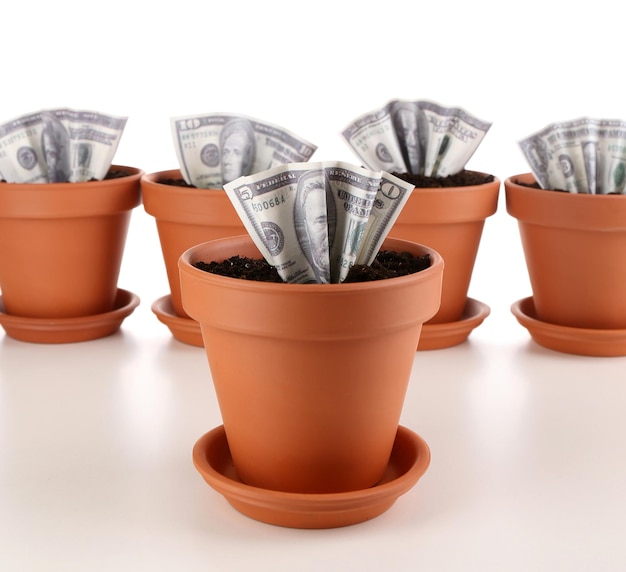 Photo concept d'entreprise de plus en plus d'argent dans les pots de fleurs isolés sur blanc