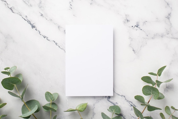 Concept d'entreprise Vue de dessus photo de feuilles de papier et de branches d'eucalyptus sur fond de marbre blanc avec espace vide