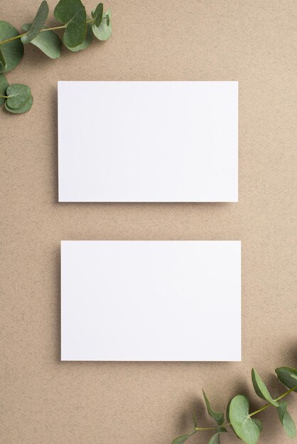 Concept d'entreprise Vue de dessus photo verticale de deux cartes papier et eucalyptus sur fond beige avec espace vide