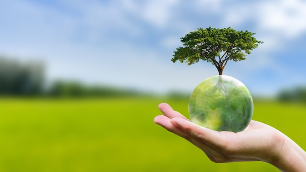 Le concept d'environnement durable mondial La main humaine tenant un globe vert avec un grand arbre en croissance sur fond vert sauver notre planète Journée mondiale de l'environnement Journée de la Terre ESG net zéro et changement climatique