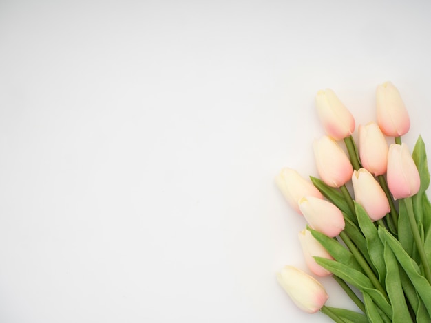 Concept de la fête des mères. Beau bouquet de tulipes