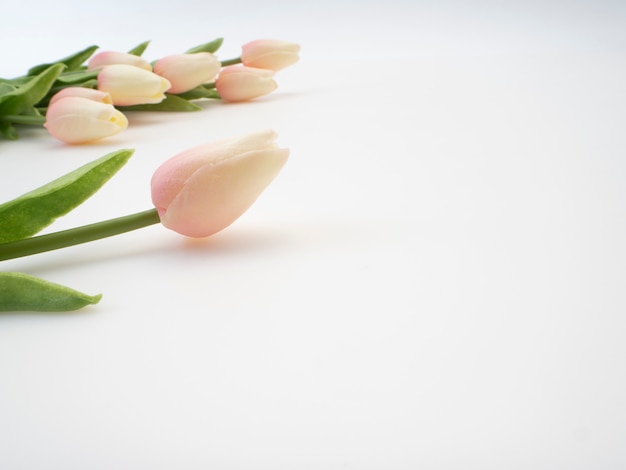 Concept de la fête des mères. Beau bouquet de tulipes