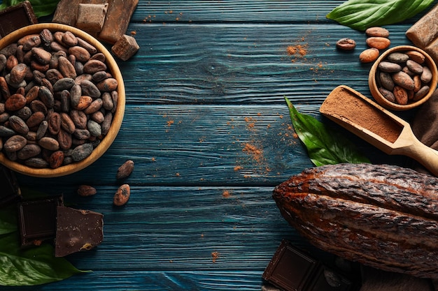 Concept de fèves de cacao alimentaires fraîches et aromatiques