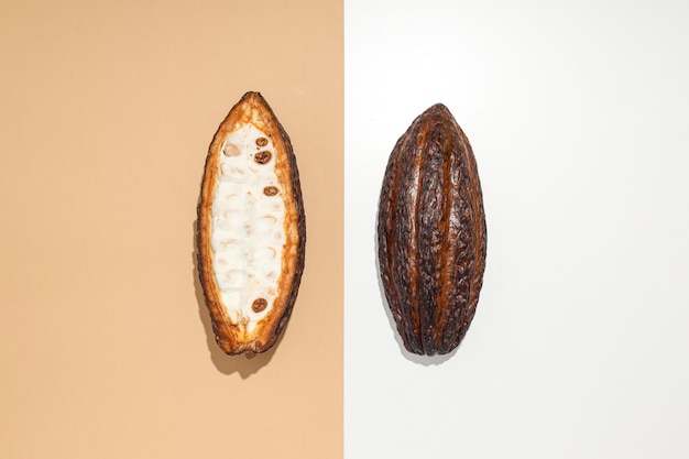 Concept de fèves de cacao alimentaires fraîches et aromatiques