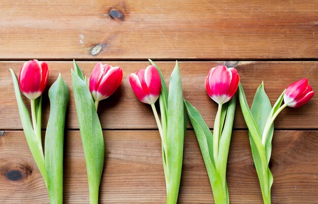 concept de flore, de jardinage et de plantes - gros plan de fleurs de tulipes rouges sur une table en bois