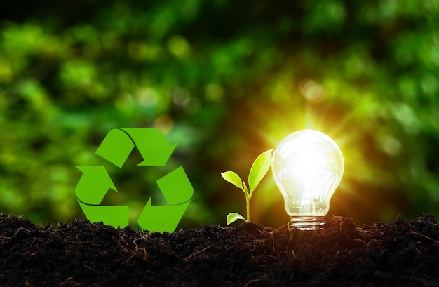 Photo concept futuriste de développement durable avec des ampoules avec des semis et des étiquettes de recyclage