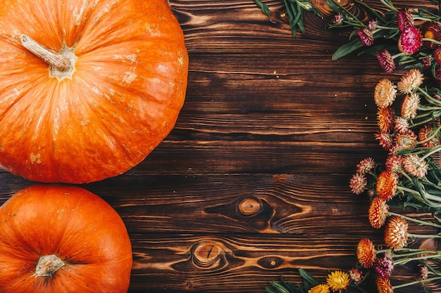 Concept d'Halloween avec des citrouilles fraîches et des fleurs sur la table en bois. Trick or Treat vue d'en haut