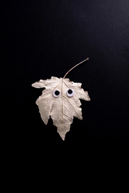 Concept d'Halloween drôle. Feuille d'automne avec des yeux comme un fantôme sur fond noir. Vue de dessus, mise à plat